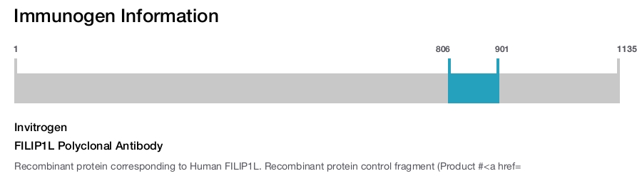 FILIP1L Polyclonal Antibody