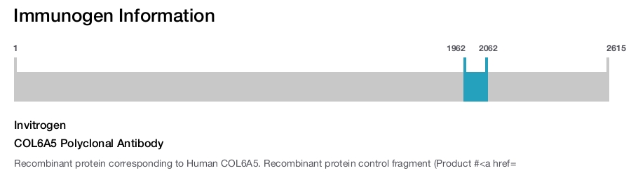 COL6A5 Polyclonal Antibody