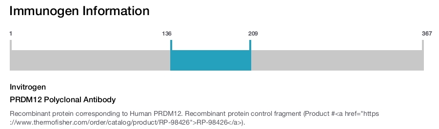 PRDM12 Polyclonal Antibody