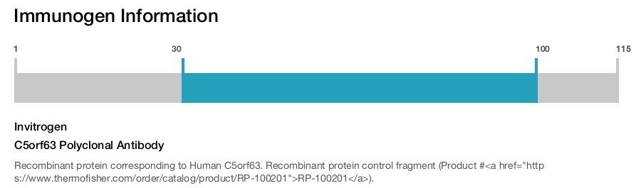C5orf63 Polyclonal Antibody