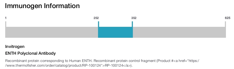 ENTH Polyclonal Antibody