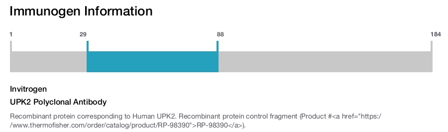 UPK2 Polyclonal Antibody