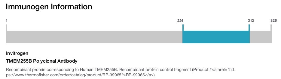 TMEM255B Polyclonal Antibody