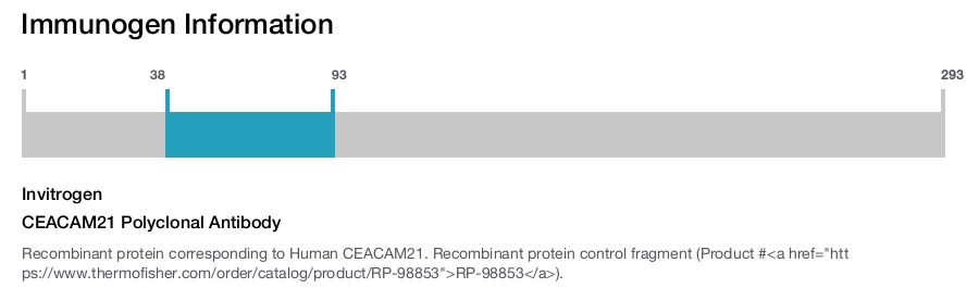 CEACAM21 Polyclonal Antibody