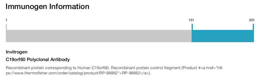 C19orf60 Polyclonal Antibody