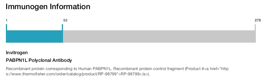 PABPN1L Polyclonal Antibody
