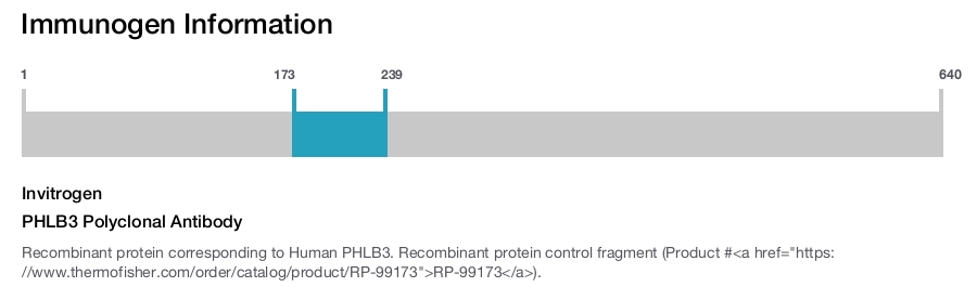 PHLB3 Polyclonal Antibody