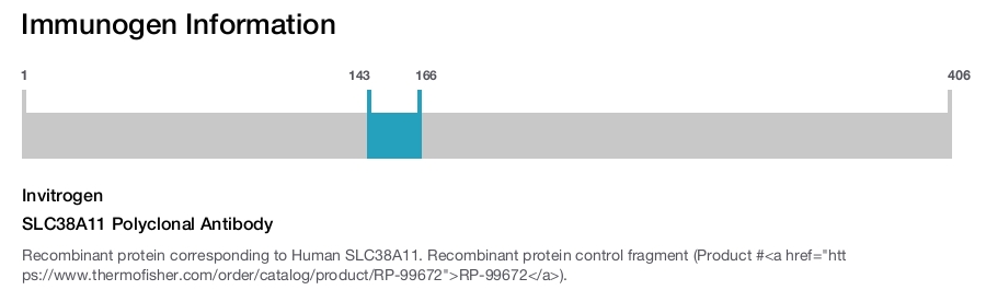 SLC38A11 Polyclonal Antibody