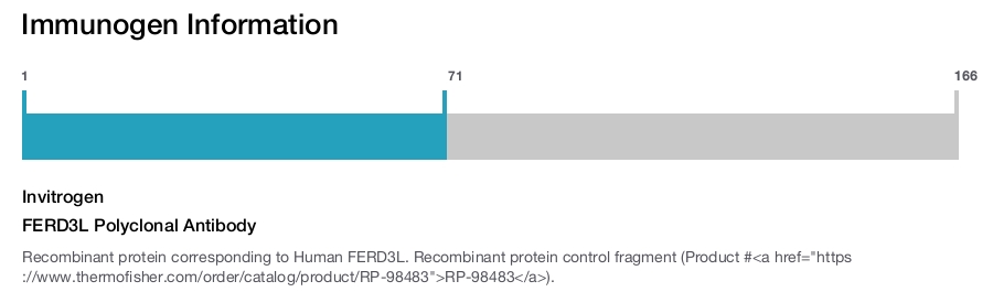 FERD3L Polyclonal Antibody