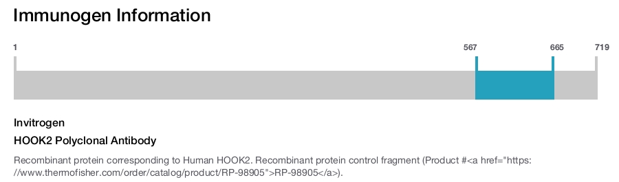 HOOK2 Polyclonal Antibody