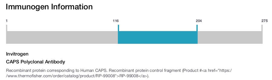 CAPS Polyclonal Antibody