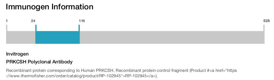 PRKCSH Polyclonal Antibody