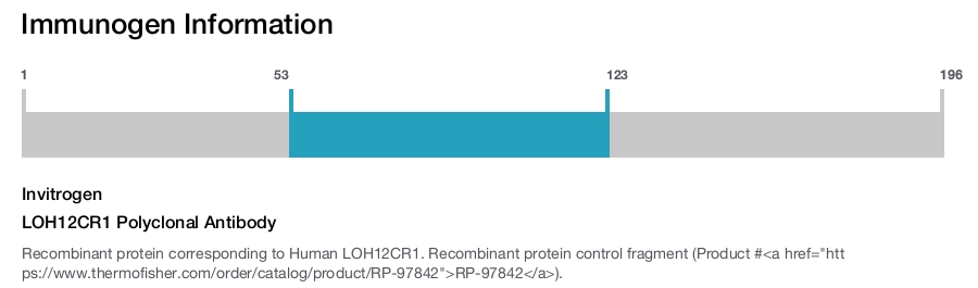 LOH12CR1 Polyclonal Antibody