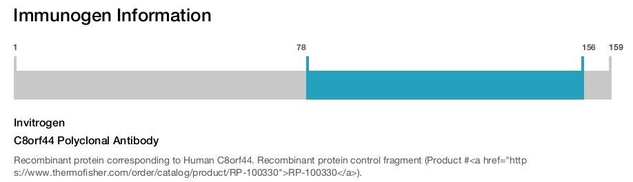 C8orf44 Polyclonal Antibody