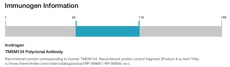 TMEM134 Polyclonal Antibody