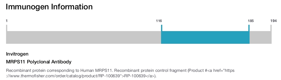 MRPS11 Polyclonal Antibody