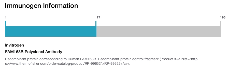 FAM168B Polyclonal Antibody