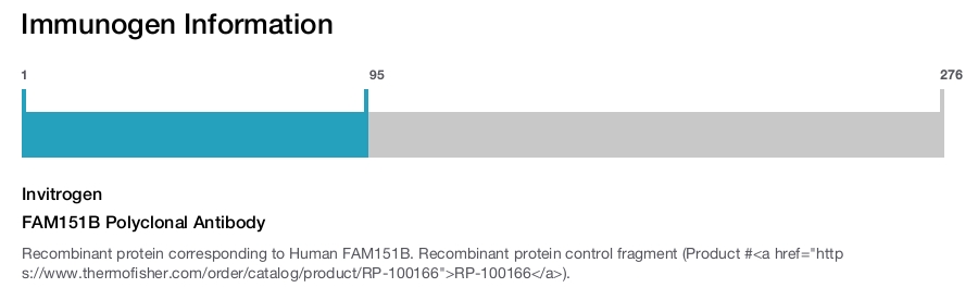 FAM151B Polyclonal Antibody