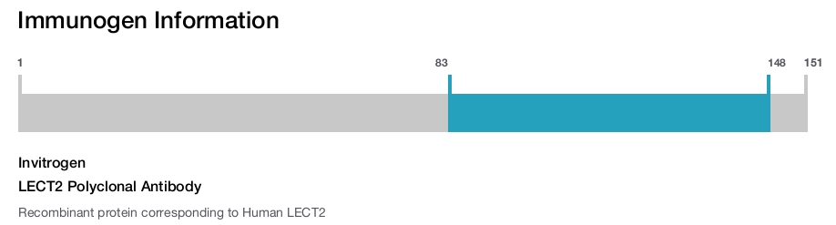 LECT2 Polyclonal Antibody