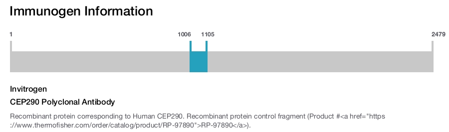 CEP290 Polyclonal Antibody