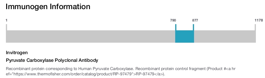 Pyruvate Carboxylase Polyclonal Antibody