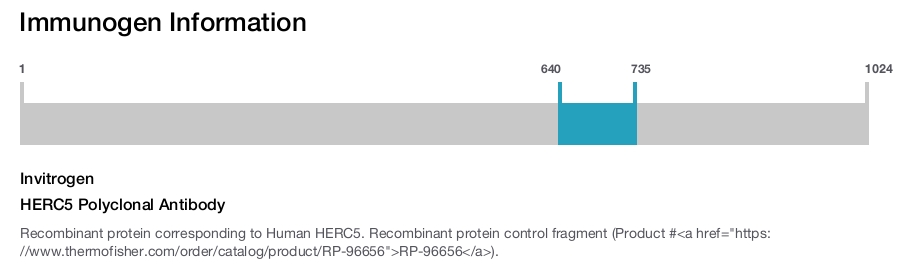 HERC5 Polyclonal Antibody