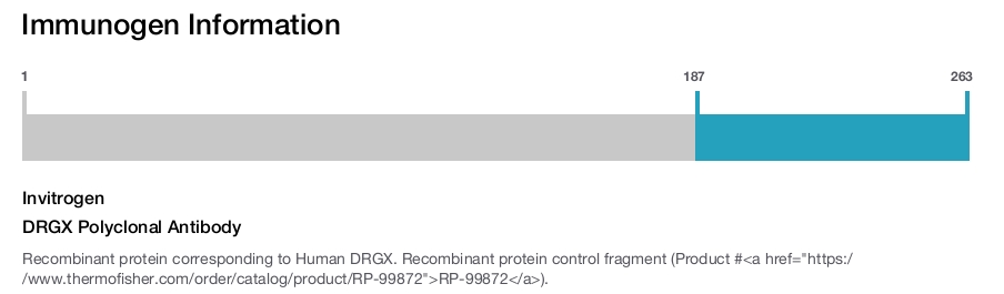 DRGX Polyclonal Antibody