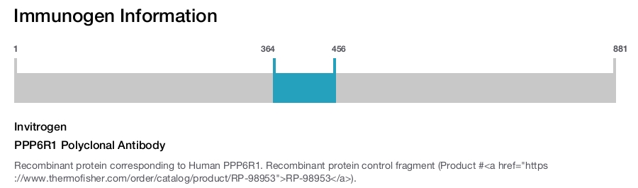 PPP6R1 Polyclonal Antibody