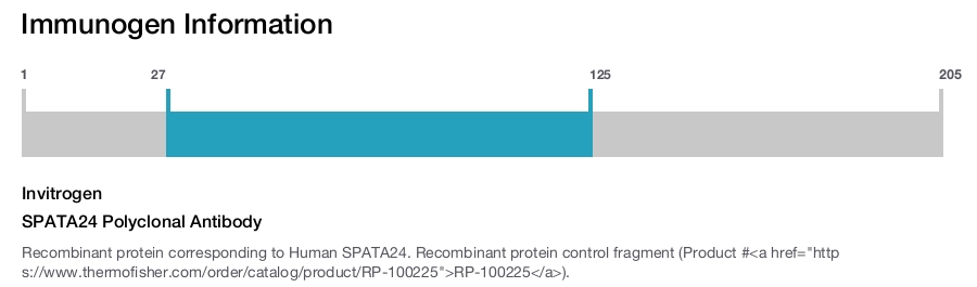 SPATA24 Polyclonal Antibody