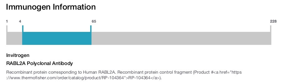 RABL2A Polyclonal Antibody