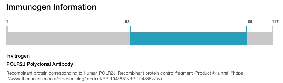 POLR2J Polyclonal Antibody