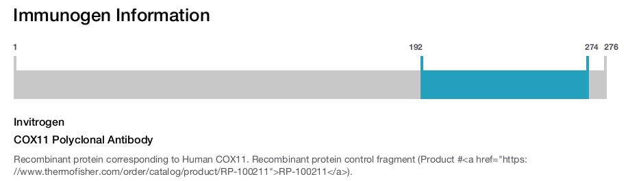 COX11 Polyclonal Antibody