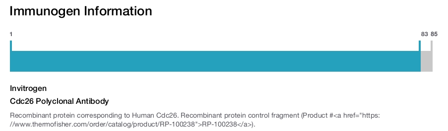 Cdc26 Polyclonal Antibody