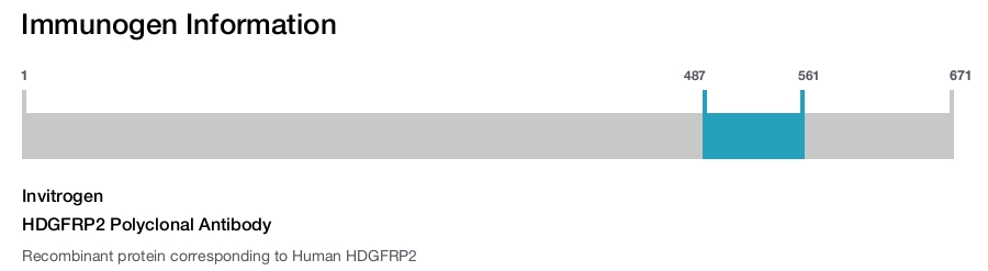 HDGFRP2 Polyclonal Antibody
