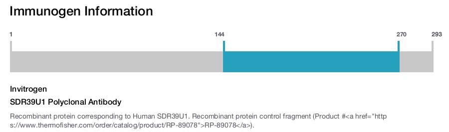 SDR39U1 Polyclonal Antibody