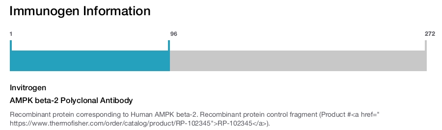 AMPK beta-2 Polyclonal Antibody