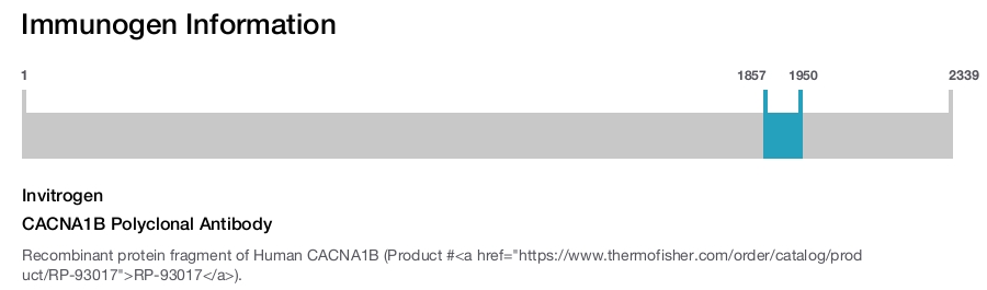 CACNA1B Polyclonal Antibody