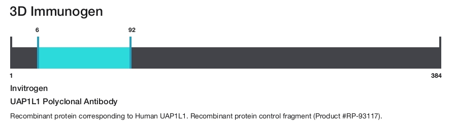 UAP1L1 Polyclonal Antibody