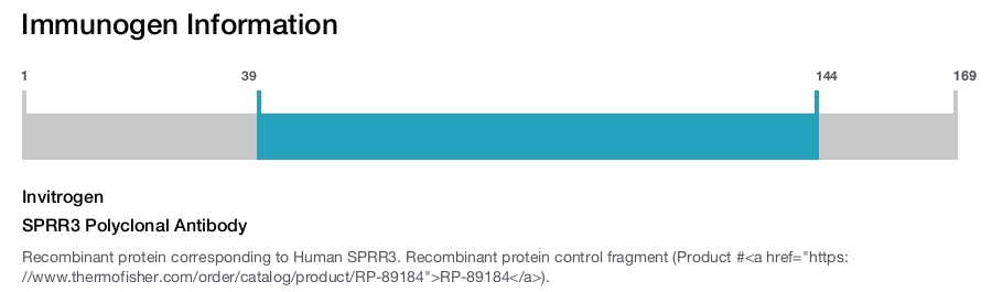 SPRR3 Polyclonal Antibody