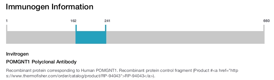 POMGNT1 Polyclonal Antibody