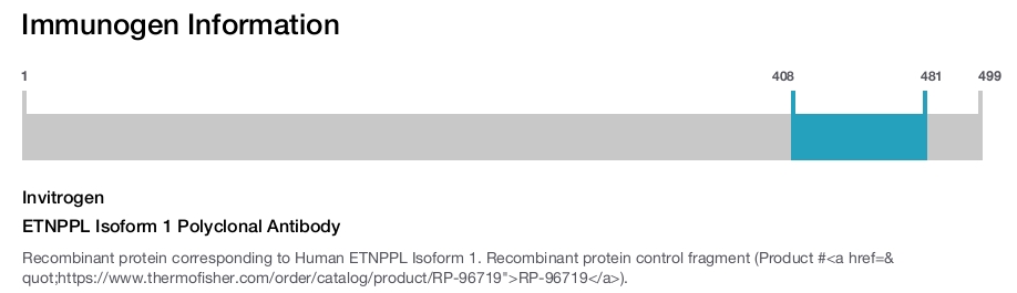 ETNPPL Isoform 1 Polyclonal Antibody