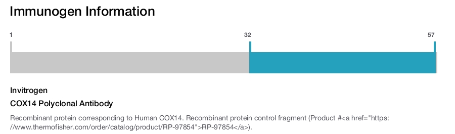 COX14 Polyclonal Antibody