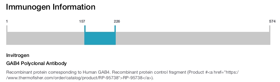 GAB4 Polyclonal Antibody