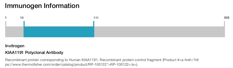 KIAA1191 Polyclonal Antibody