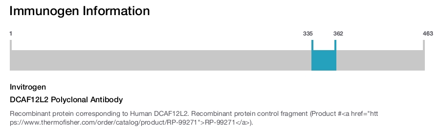 DCAF12L2 Polyclonal Antibody