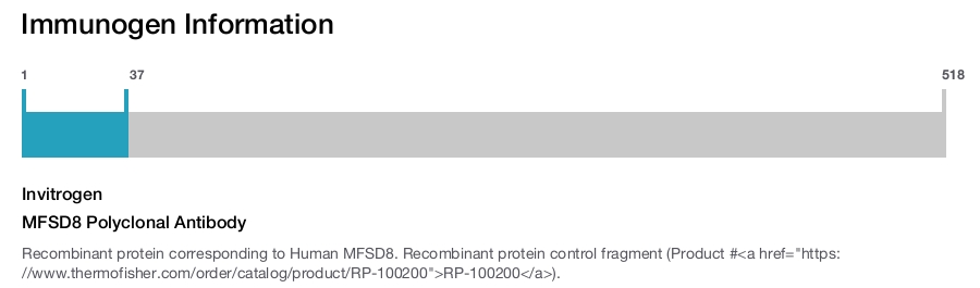 MFSD8 Polyclonal Antibody