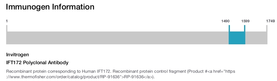 IFT172 Polyclonal Antibody
