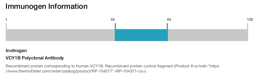 VCY1B Polyclonal Antibody