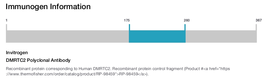 DMRTC2 Polyclonal Antibody