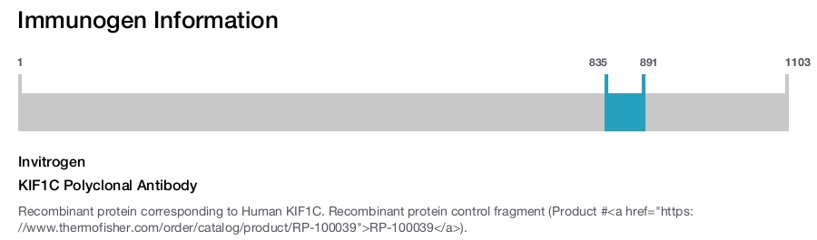 KIF1C Polyclonal Antibody